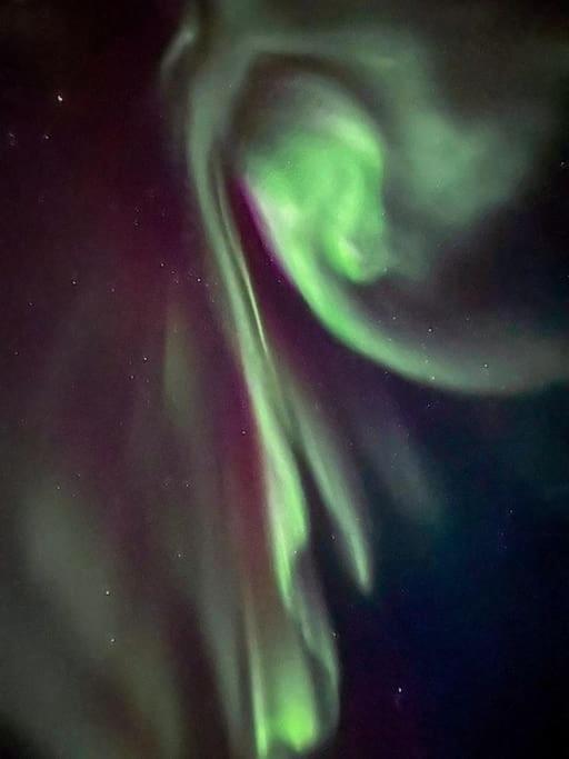 Seaside Leilighet Tromsø Eksteriør bilde